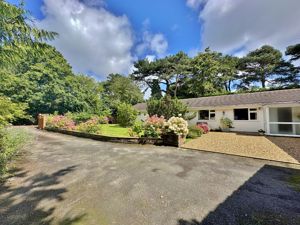 Photo 22- click for photo gallery